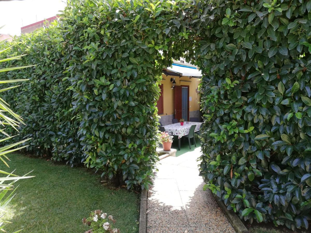 Depandance Con Piscina In Uso In Esclusivo In B&B SantʼAntonio Abate Екстериор снимка